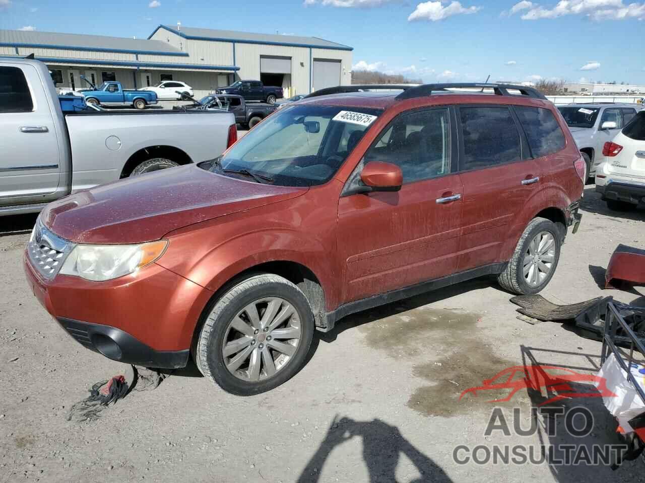 SUBARU FORESTER 2011 - JF2SHBDC0BH743006