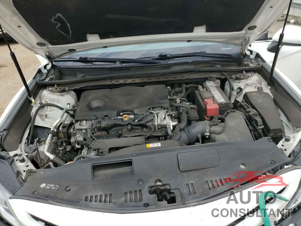 TOYOTA CAMRY 2019 - 4T1B11HK8KU740016