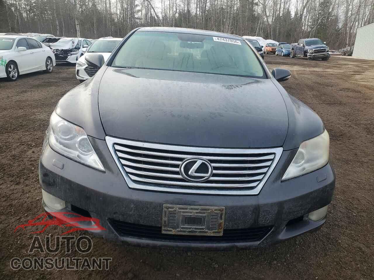 LEXUS LS500 2010 - JTHCL5EF0A5005958