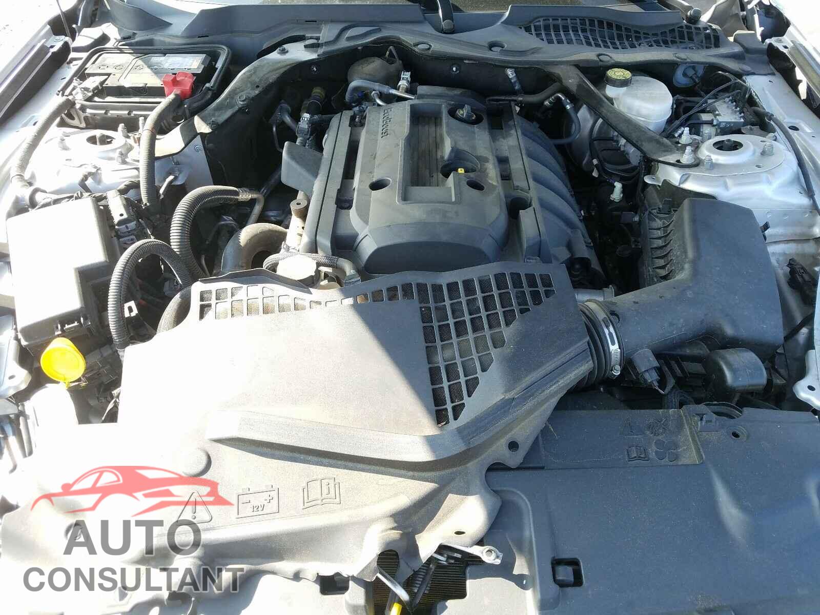 FORD MUSTANG 2019 - 1FATP8UH2K5109398