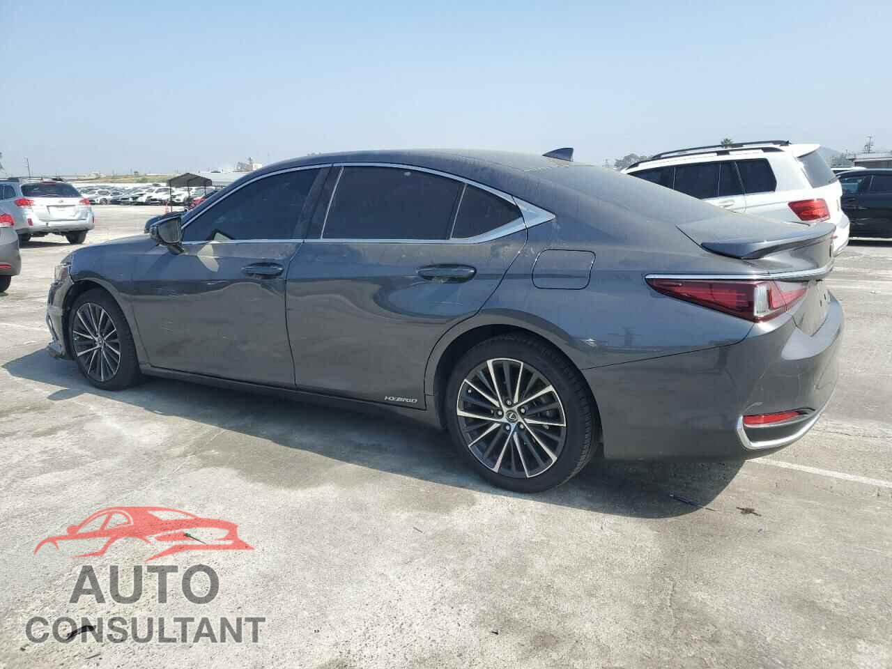 LEXUS ES300 2022 - 58ADA1C19NU014024
