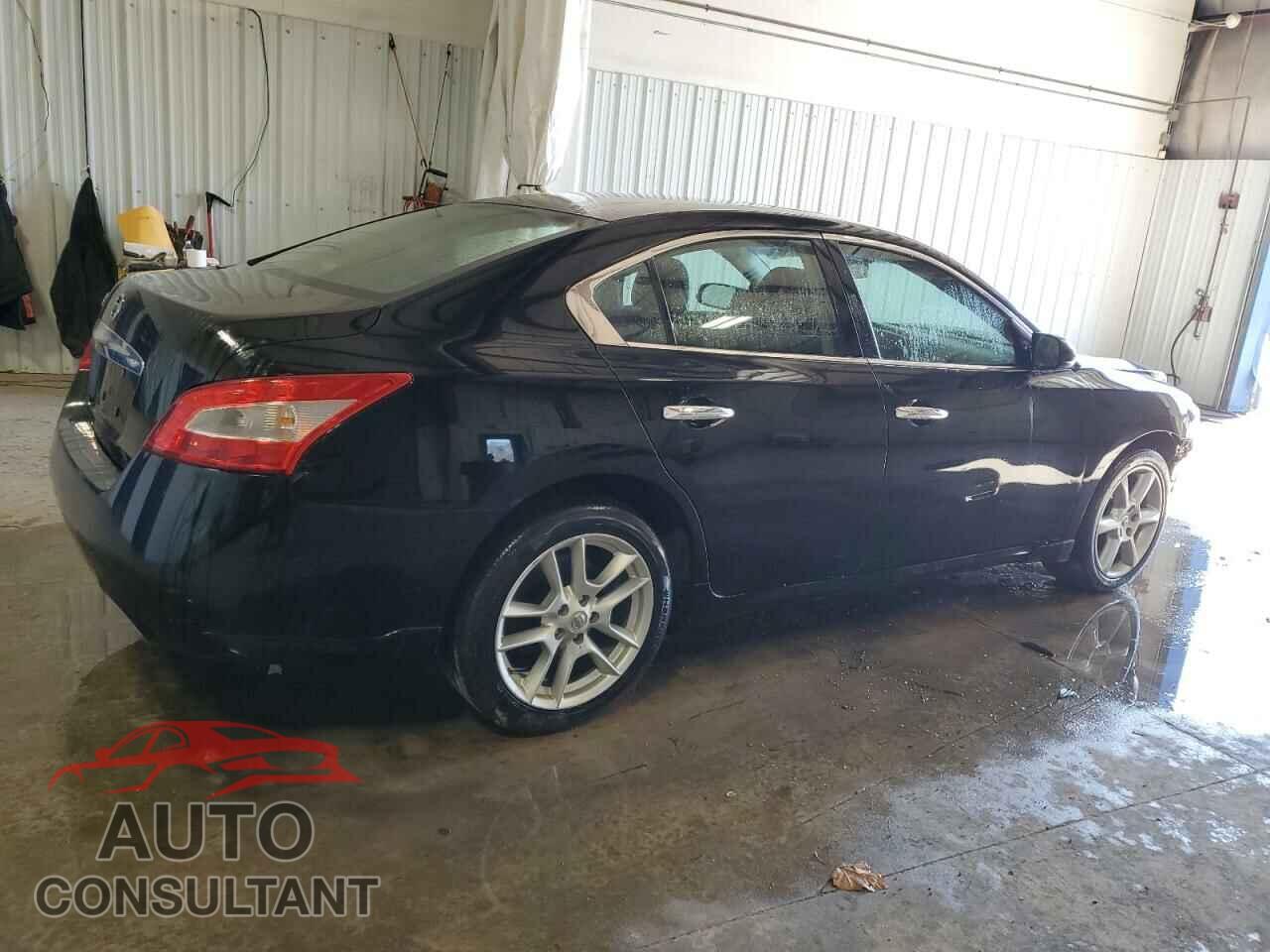 NISSAN MAXIMA 2009 - 1N4AA51E19C836667
