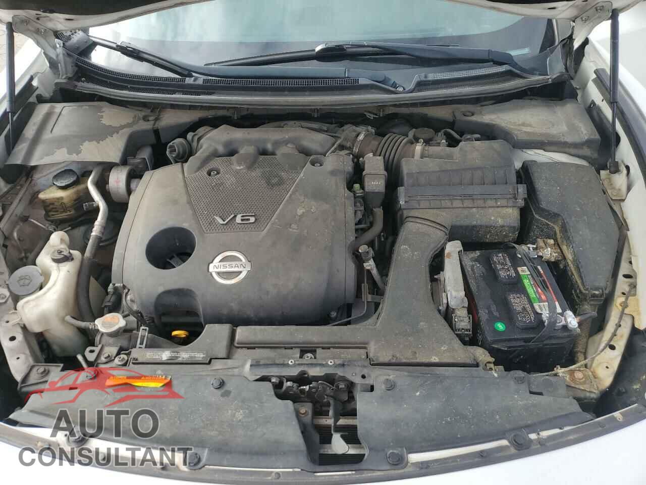 NISSAN MAXIMA 2011 - 1N4AA5AP2BC816418