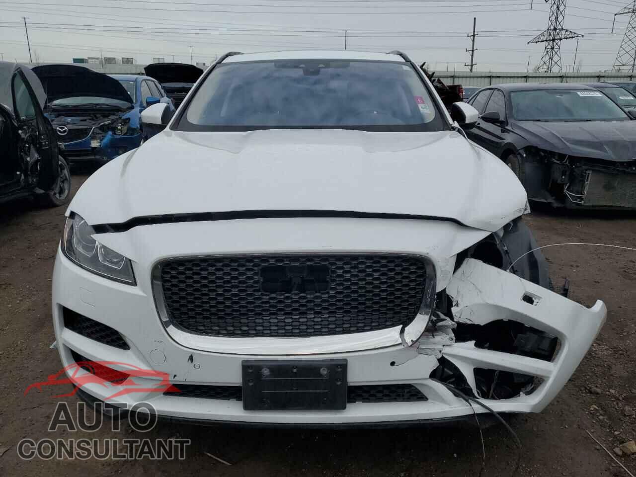 JAGUAR F-PACE 2020 - SADCJ2FX2LA629949