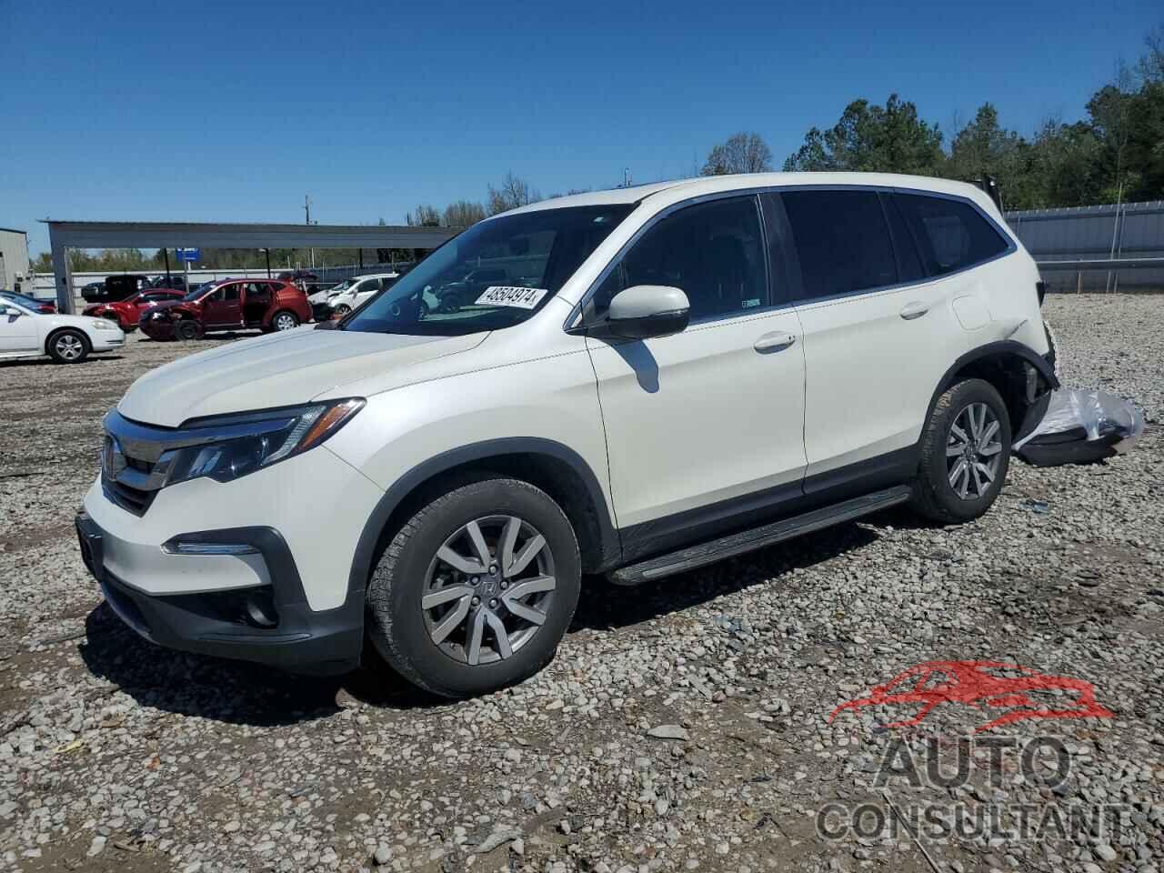 HONDA PILOT 2019 - 5FNYF5H55KB033918