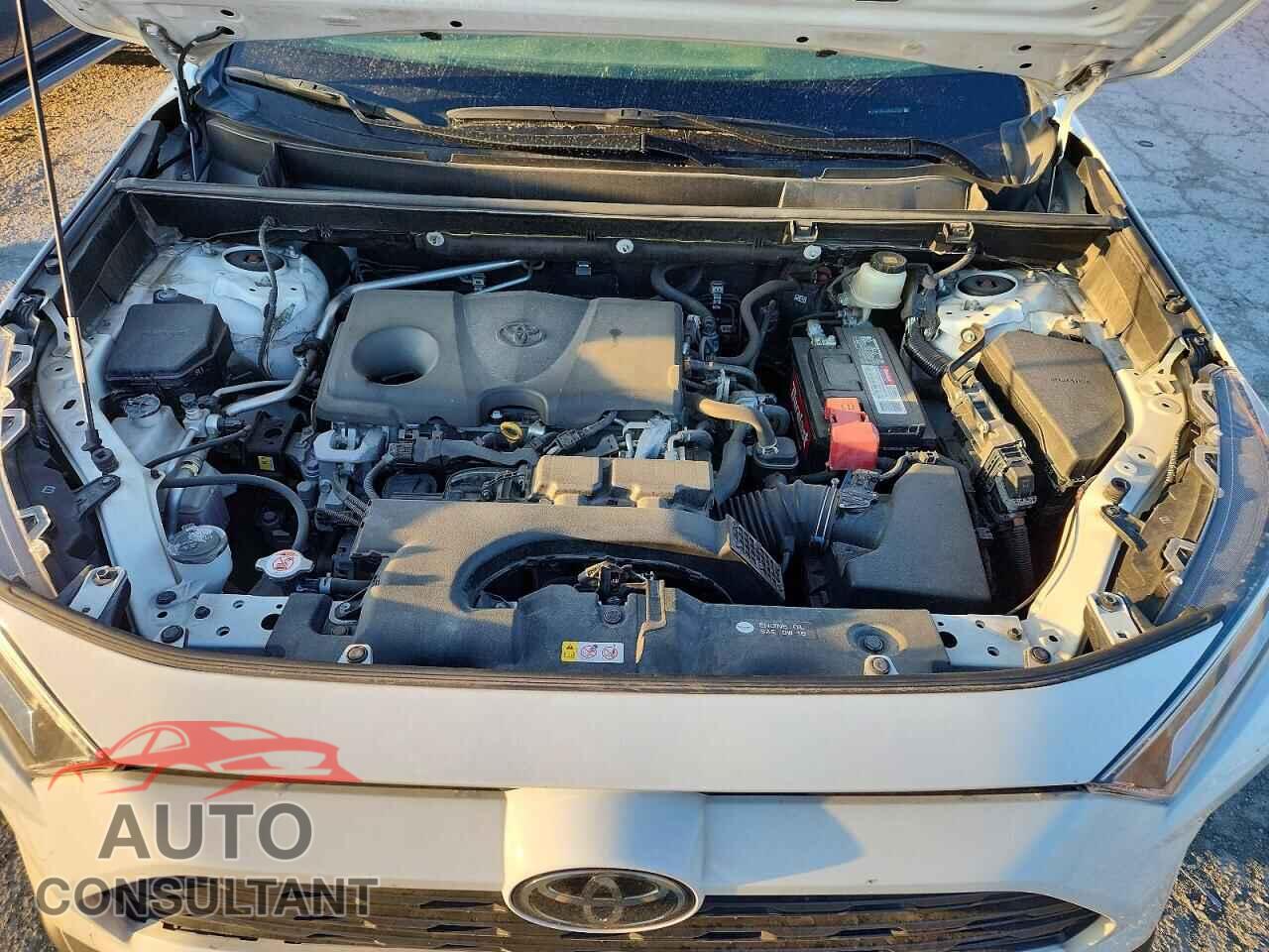 TOYOTA RAV4 2019 - JTMP1RFVXKD522231
