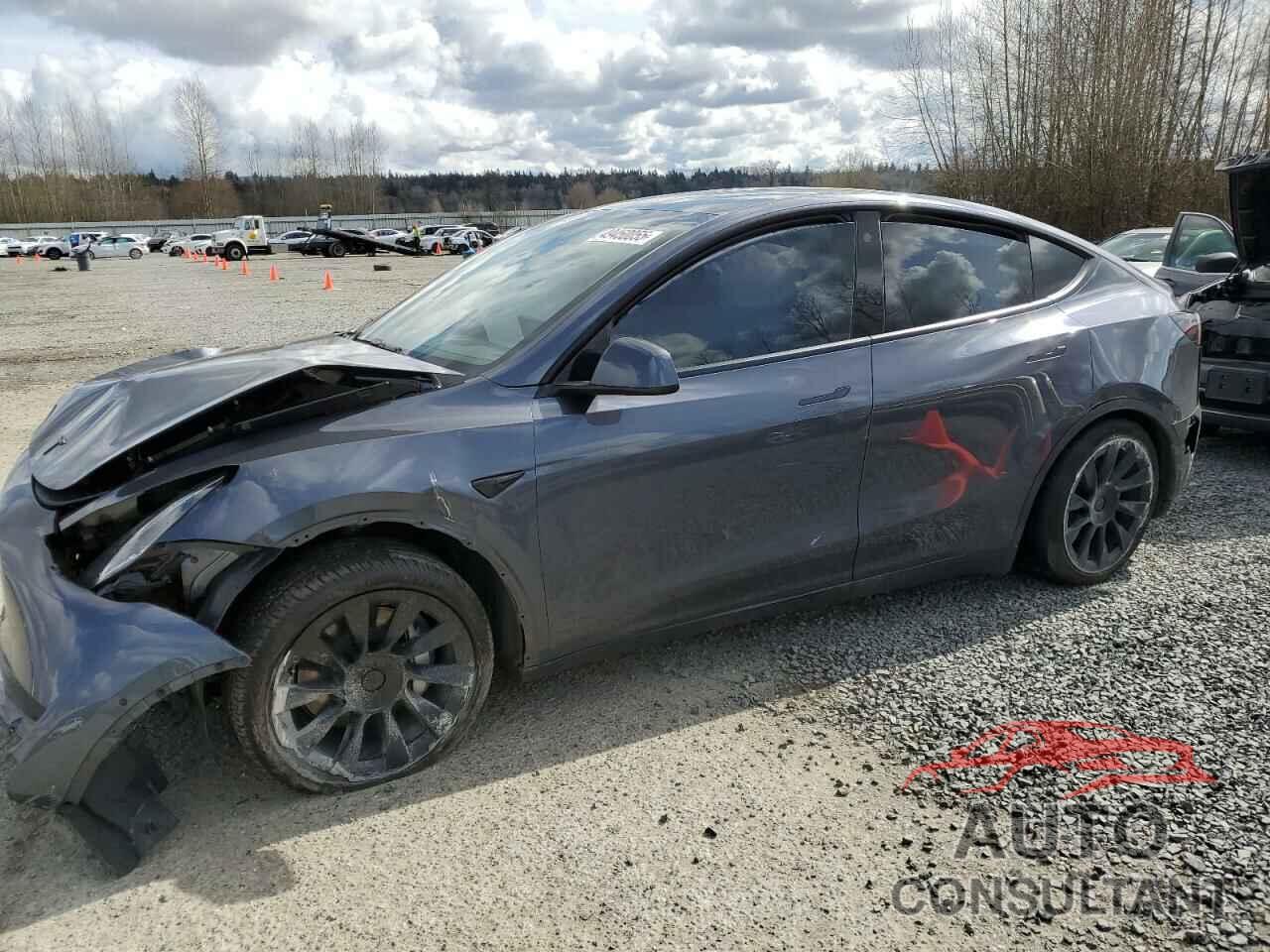 TESLA MODEL Y 2022 - 7SAYGAEE9NF517298