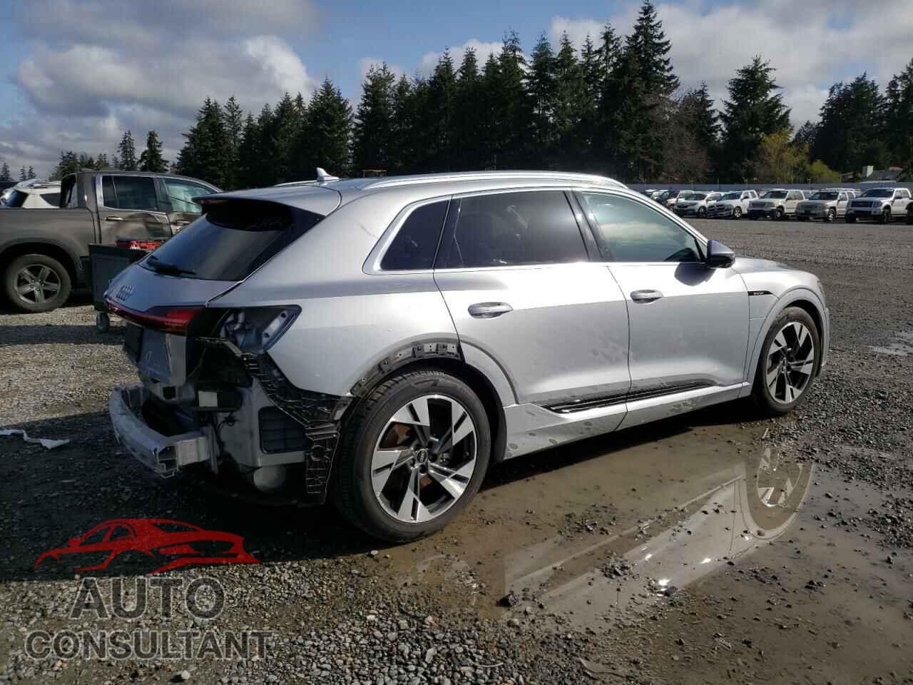 AUDI E-TRON 2022 - WA1LAAGE2NB024937