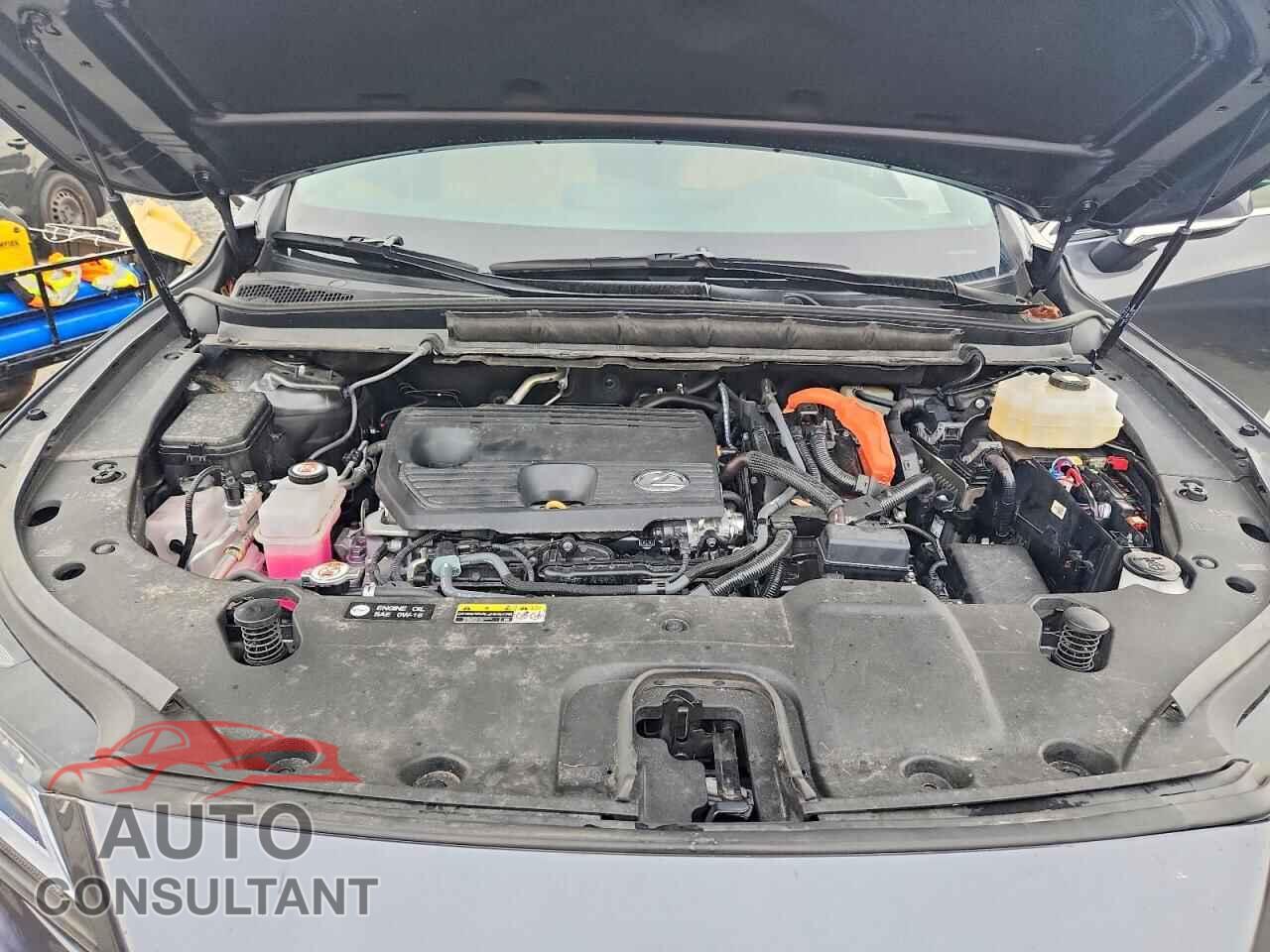 LEXUS UNKNOWN 2025 - 2T2BBMCAXSC085626