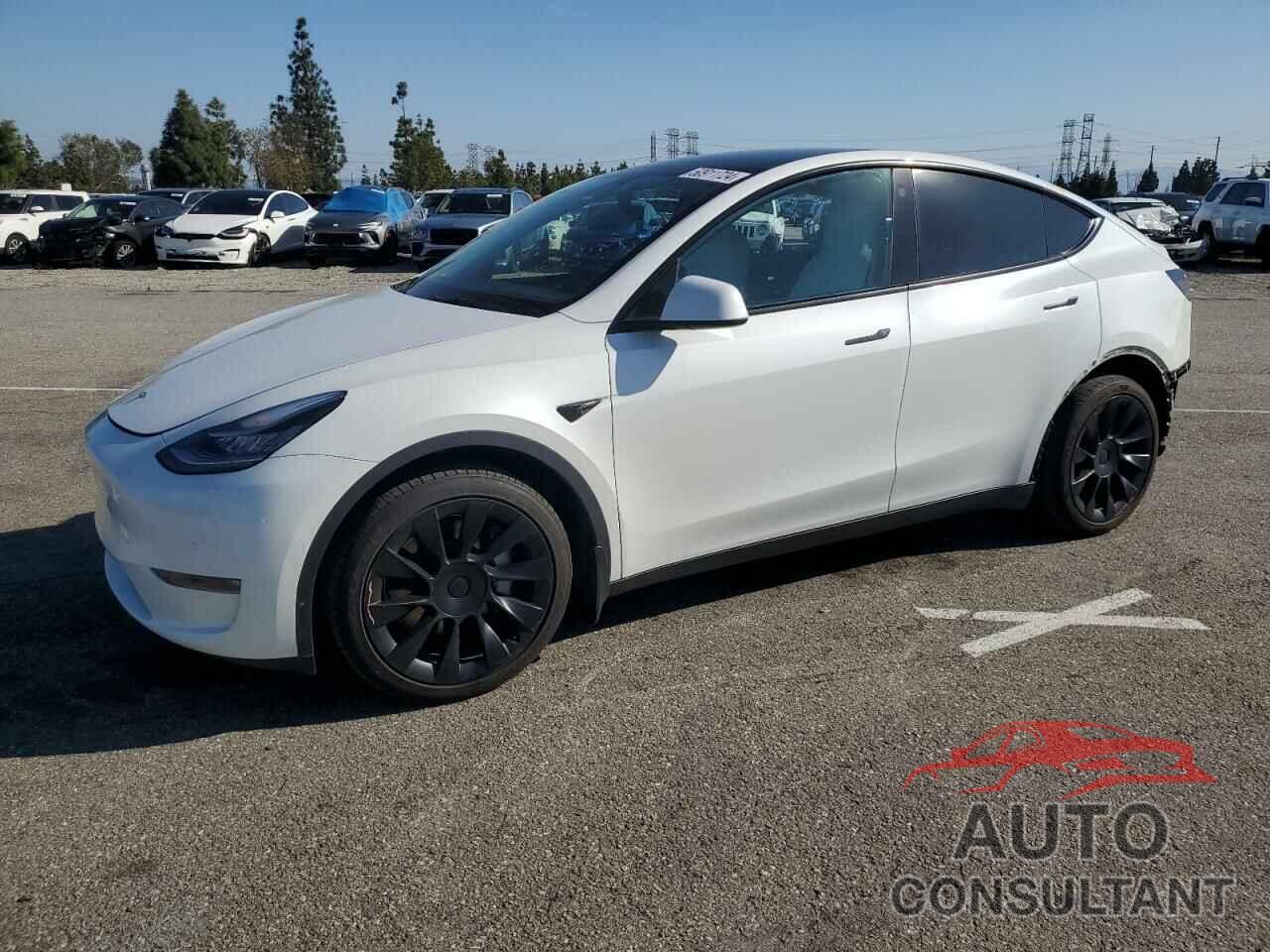 TESLA MODEL Y 2022 - 7SAYGDEEXNF324417