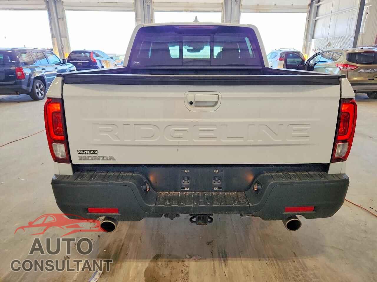 HONDA RIDGELINE 2024 - 5FPYK3F58RB005132