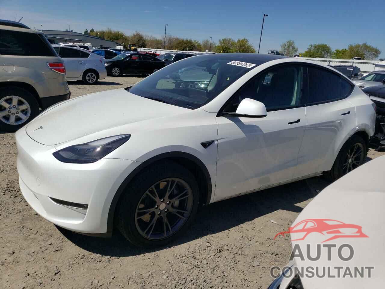 TESLA MODEL Y 2024 - 7SAYGDEE8RF123153
