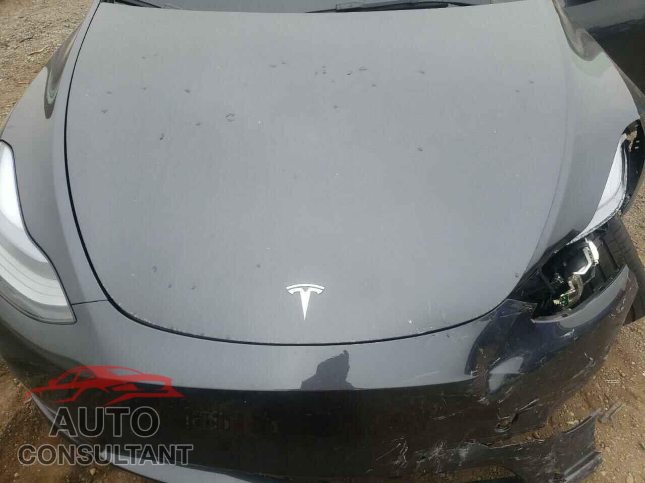 TESLA MODEL Y 2024 - 7SAYGDED3RF011237