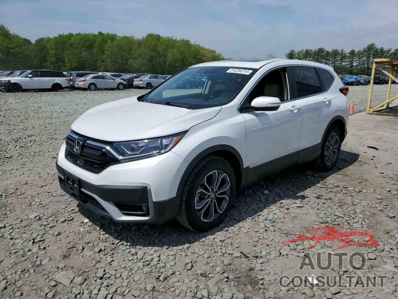 HONDA CRV 2022 - 2HKRW2H88NH664651