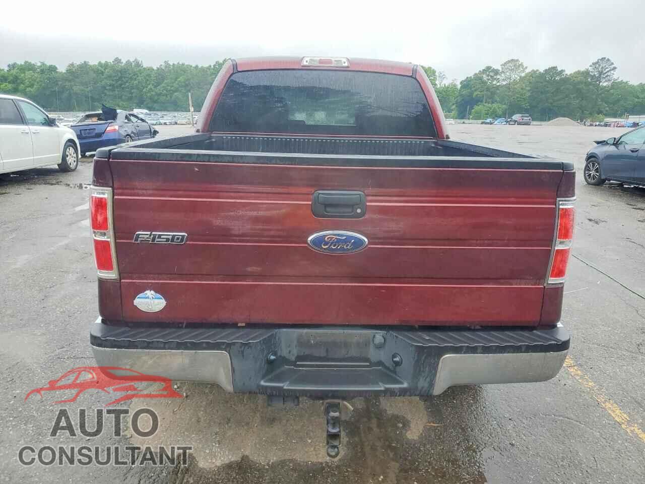 FORD All Models 2010 - 1FTEW1C89AFD30469