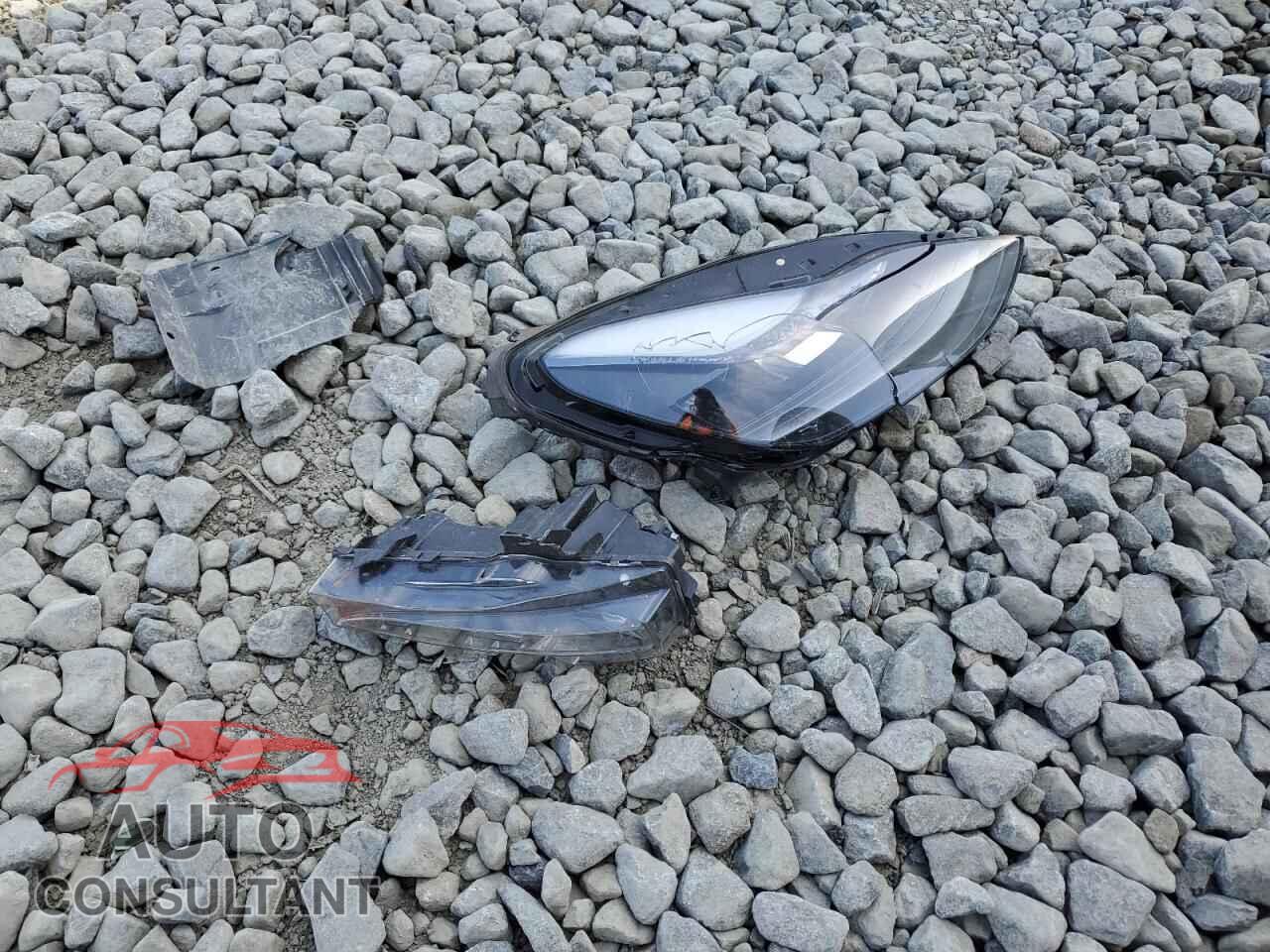 TESLA MODEL Y 2023 - 7SAYGDEF5PF968225