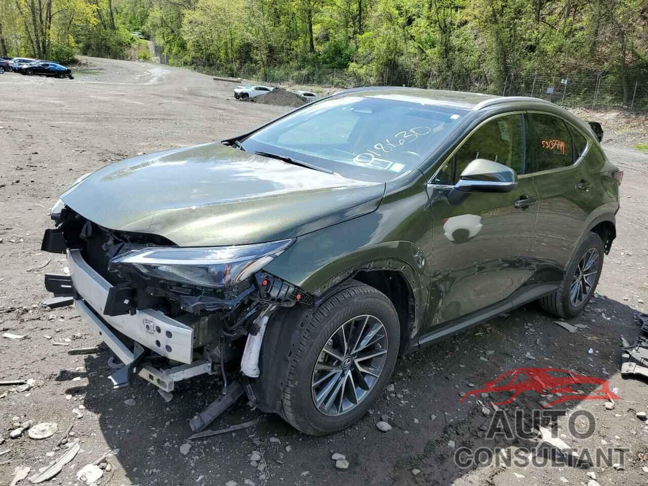 LEXUS NX 350 2023 - 2T2GGCEZ2PC018630