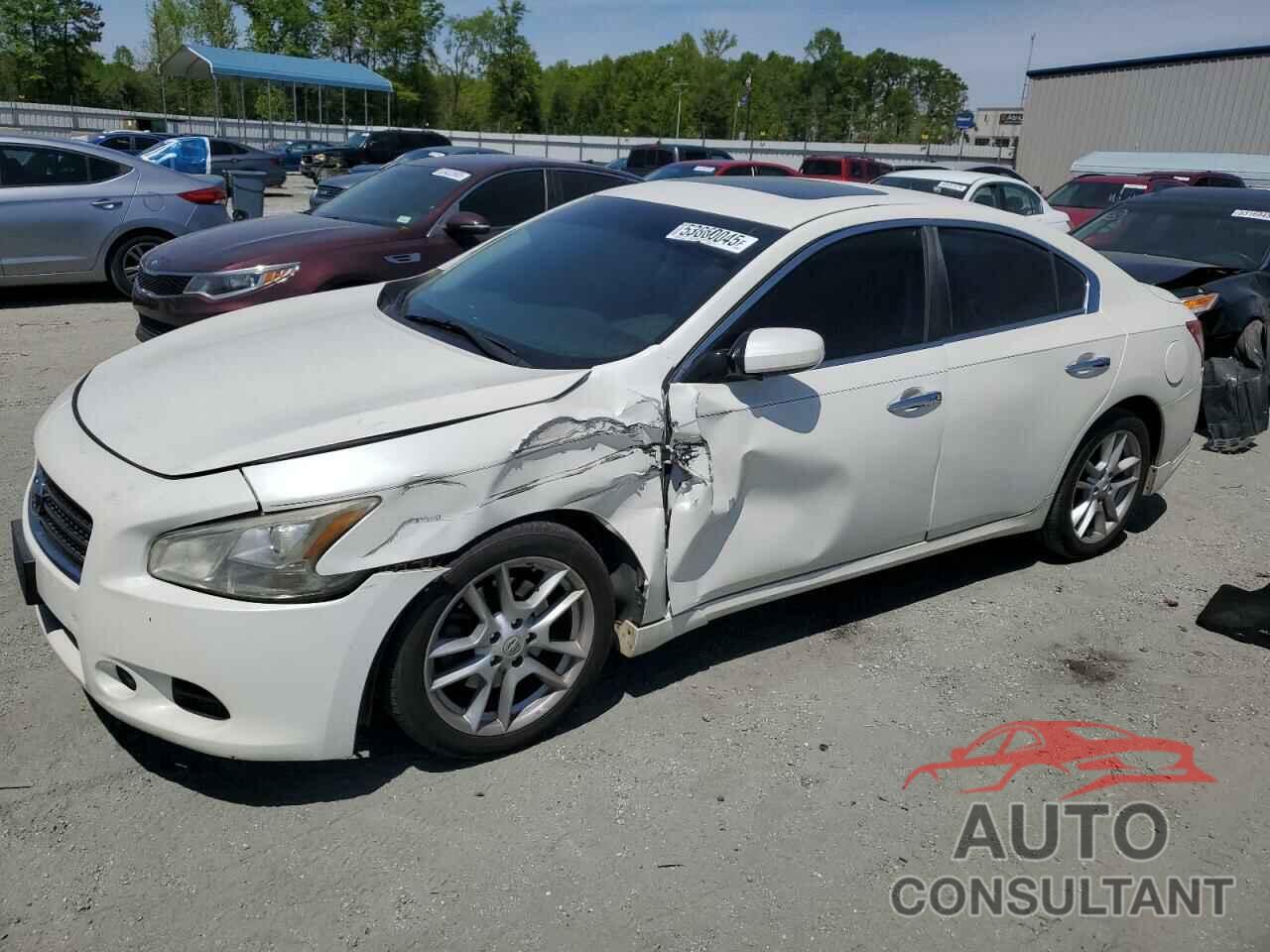 NISSAN MAXIMA 2009 - 1N4AA51E89C836598