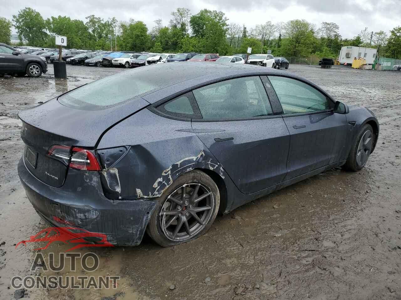 TESLA MODEL 3 2021 - 5YJ3E1EB9MF019636