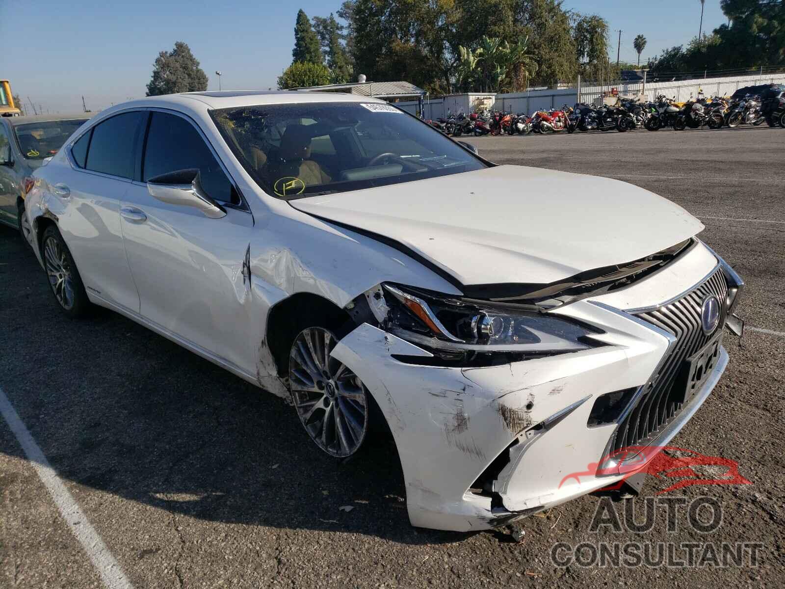 LEXUS ES300 2019 - JTHB21B16K2035761