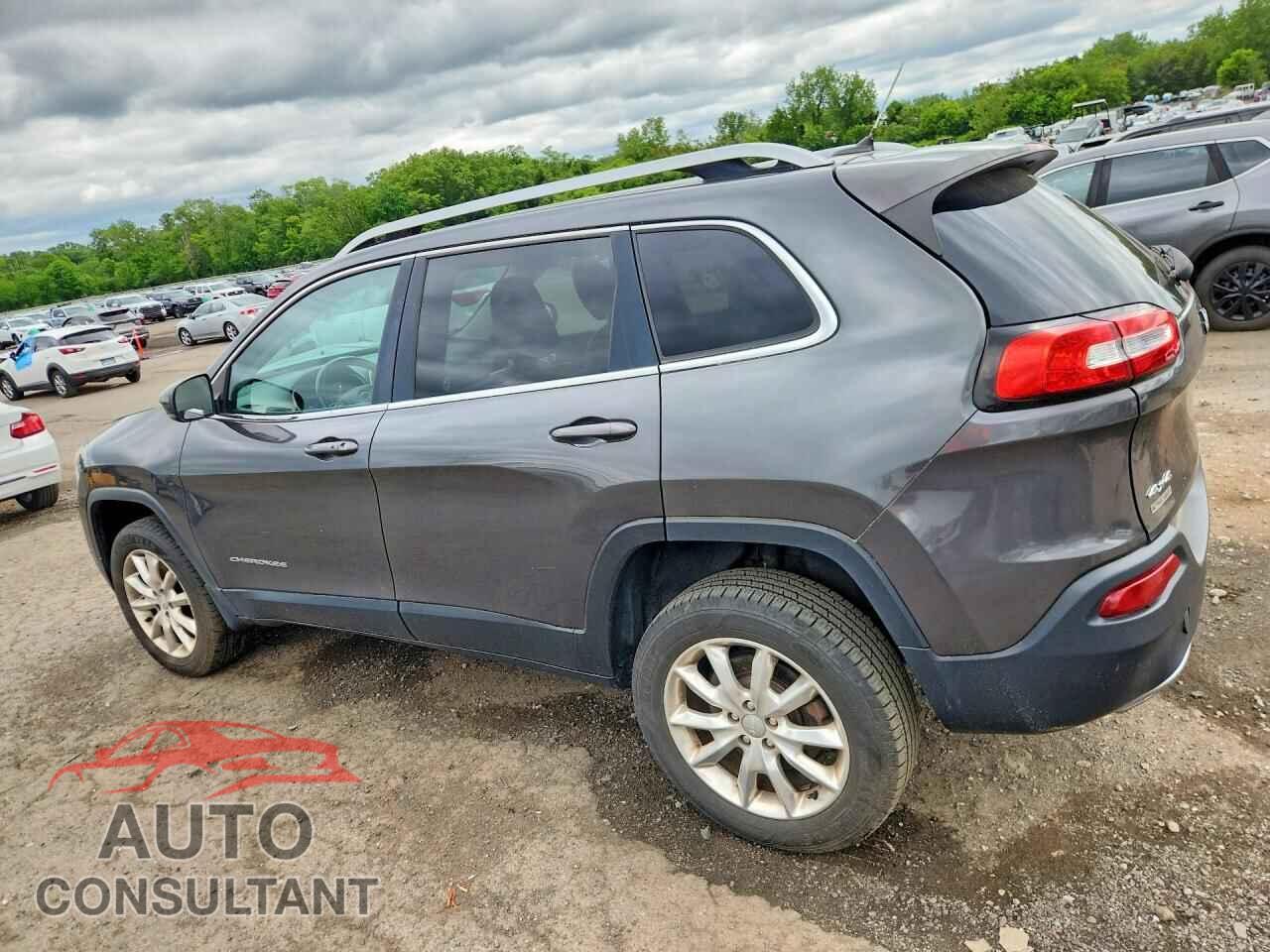 JEEP CHEROKEE 2015 - 1C4PJMDS3FW631006