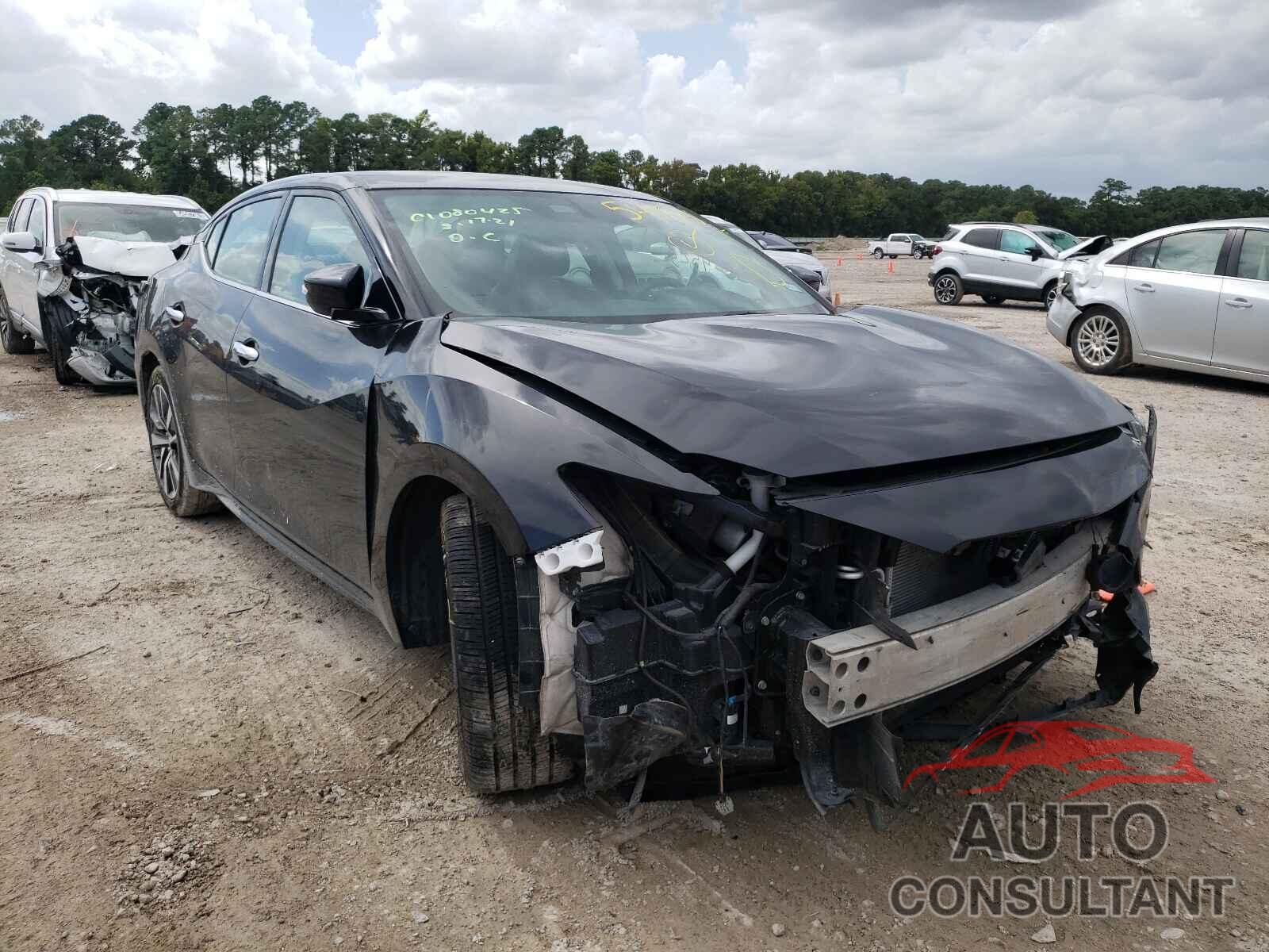 NISSAN MAXIMA 2019 - 1N4AA6AV6KC365806