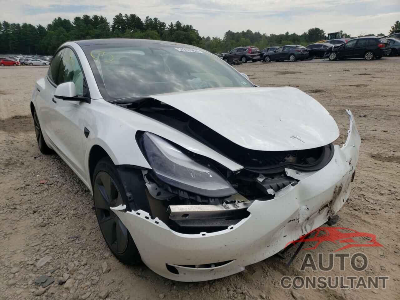 TESLA MODEL 3 2021 - 5YJ3E1EBXMF978995