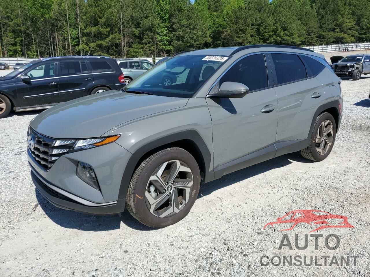 HYUNDAI TUCSON 2024 - 5NMJF3DE2RH379090