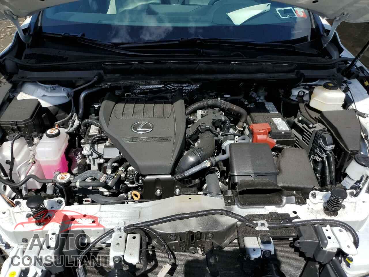 LEXUS RX350 2023 - 2T2BAMCA8PC024351