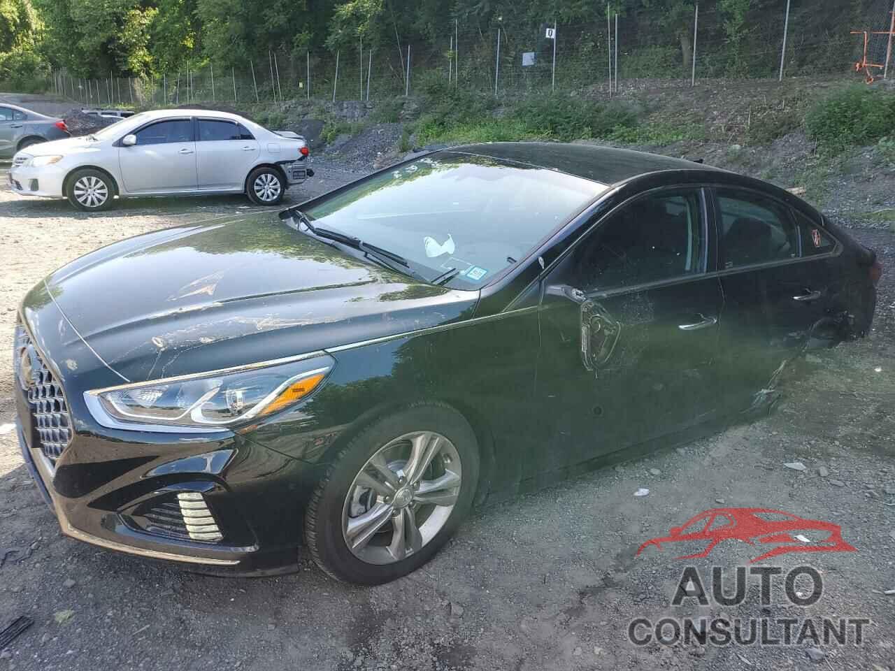 HYUNDAI SONATA 2019 - 5NPE34AF3KH738288