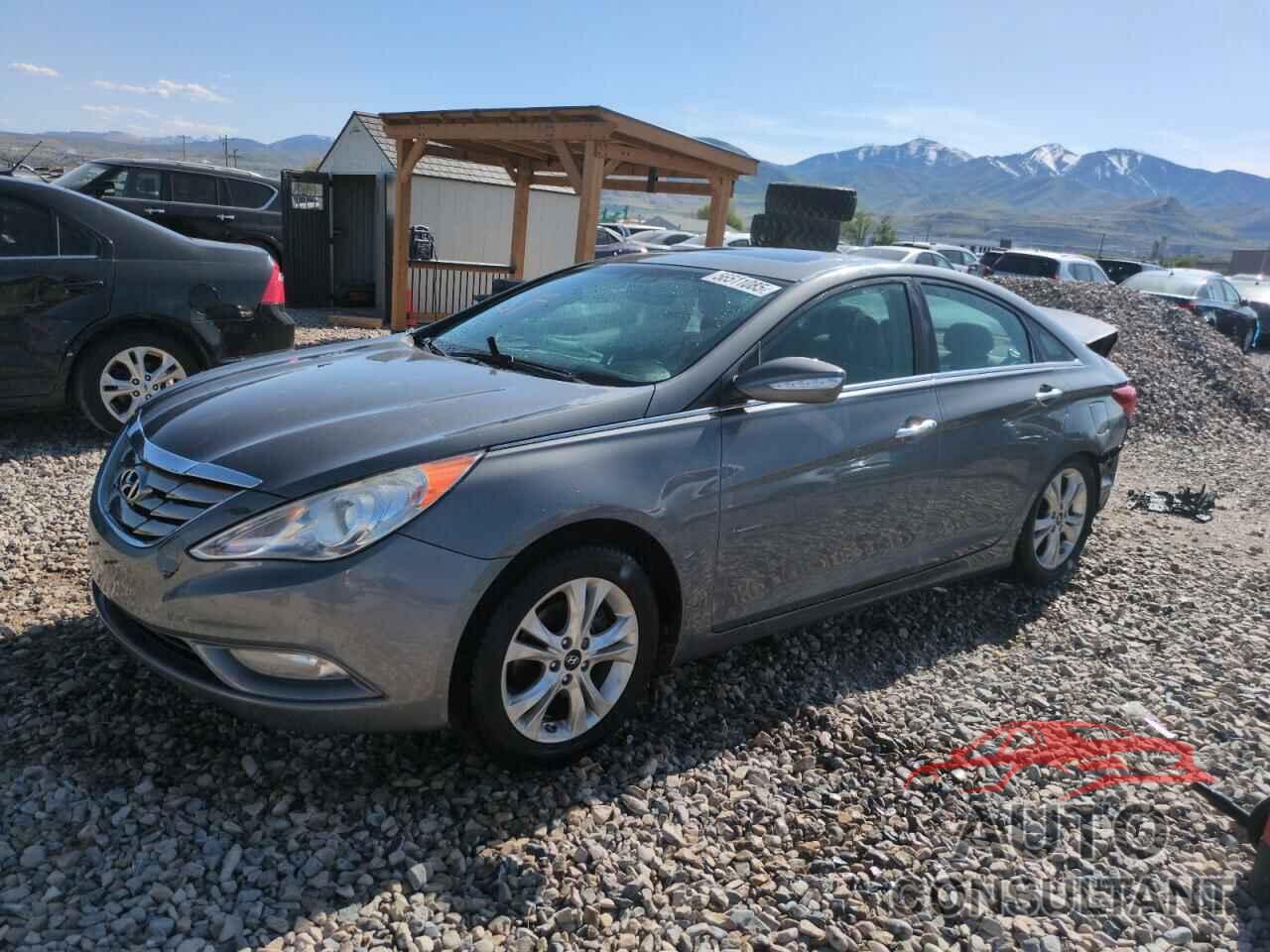 HYUNDAI SONATA 2013 - 5NPEC4AC7DH625338