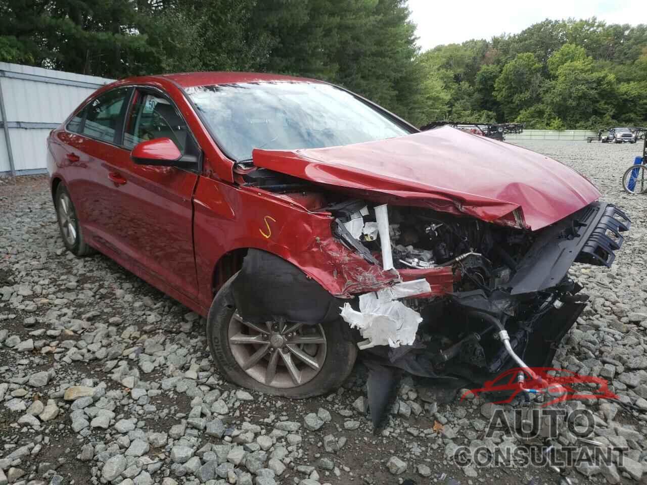HYUNDAI SONATA 2019 - 5NPE24AF4KH763445