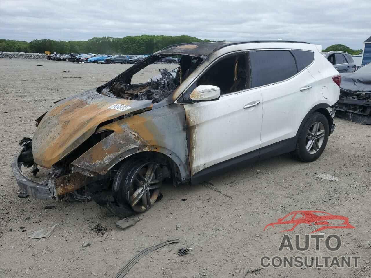 HYUNDAI SANTA FE 2017 - 5NMZUDLB9HH042551