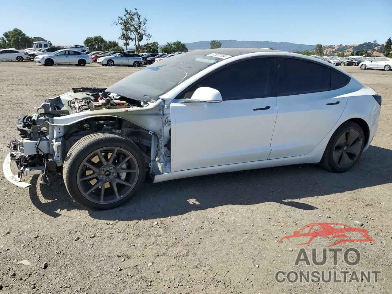 TESLA MODEL 3 2020 - 5YJ3E1EB8LF619174