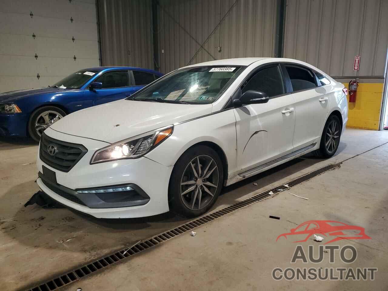 HYUNDAI SONATA 2017 - 5NPE34AB3HH501791