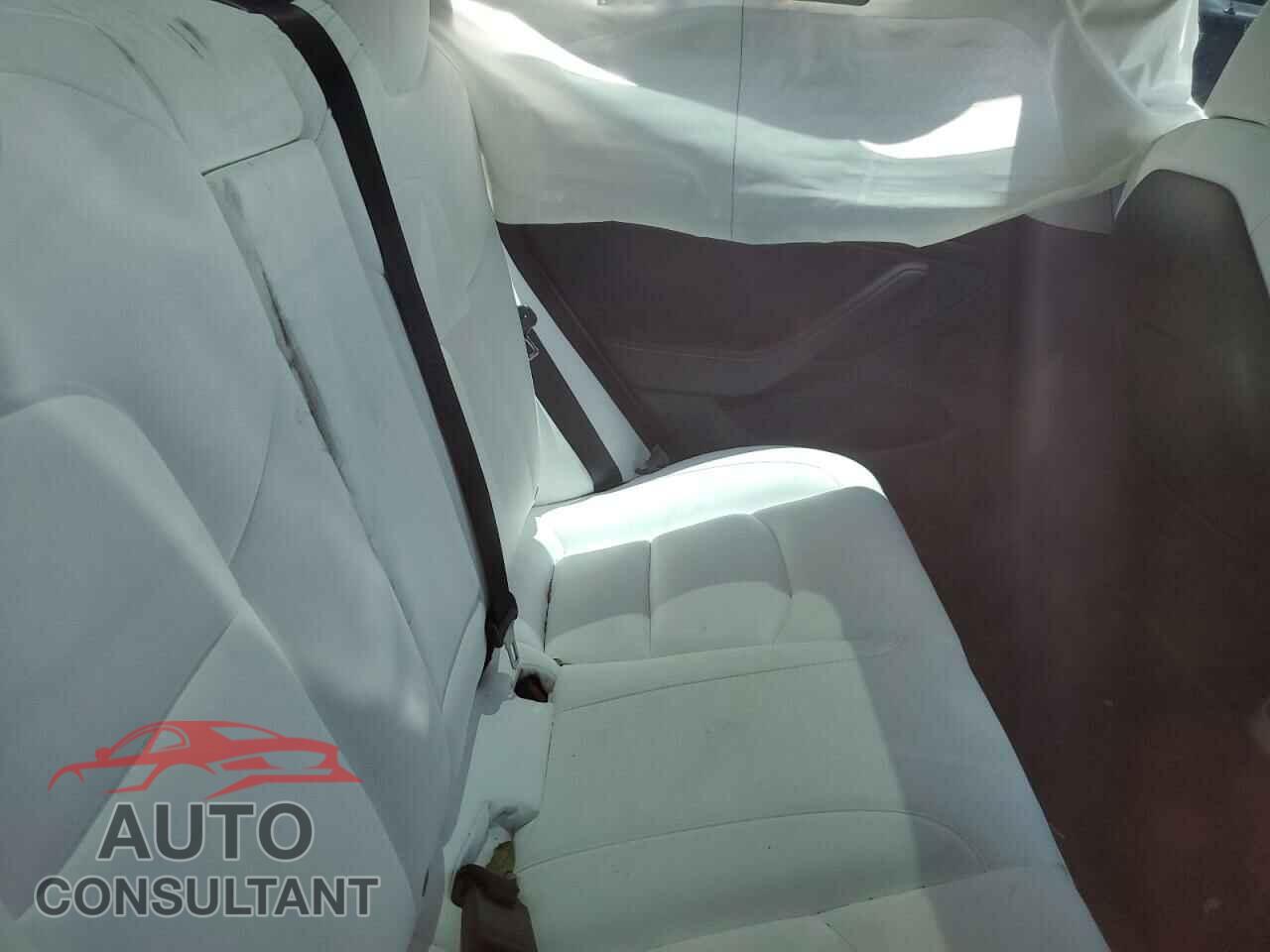 TESLA MODEL 3 2021 - 5YJ3E1EB0MF015636
