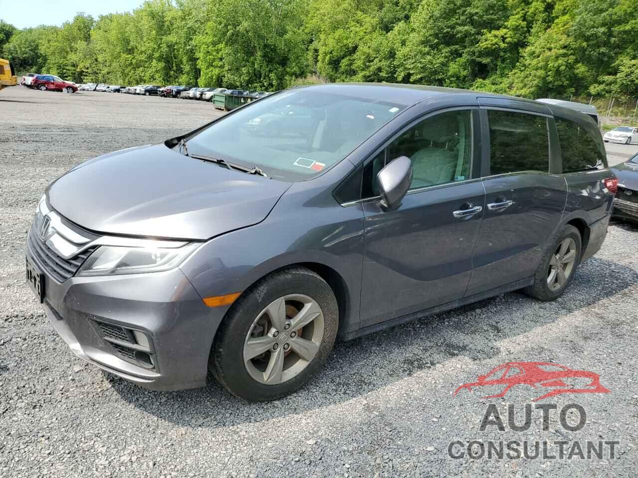HONDA All Models 2019 - 5FNRL6H59KB032323