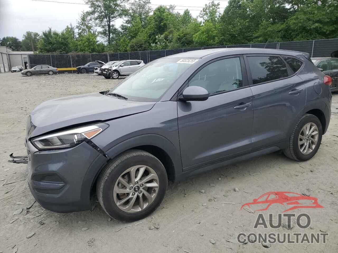 HYUNDAI TUCSON 2017 - KM8J23A48HU260986