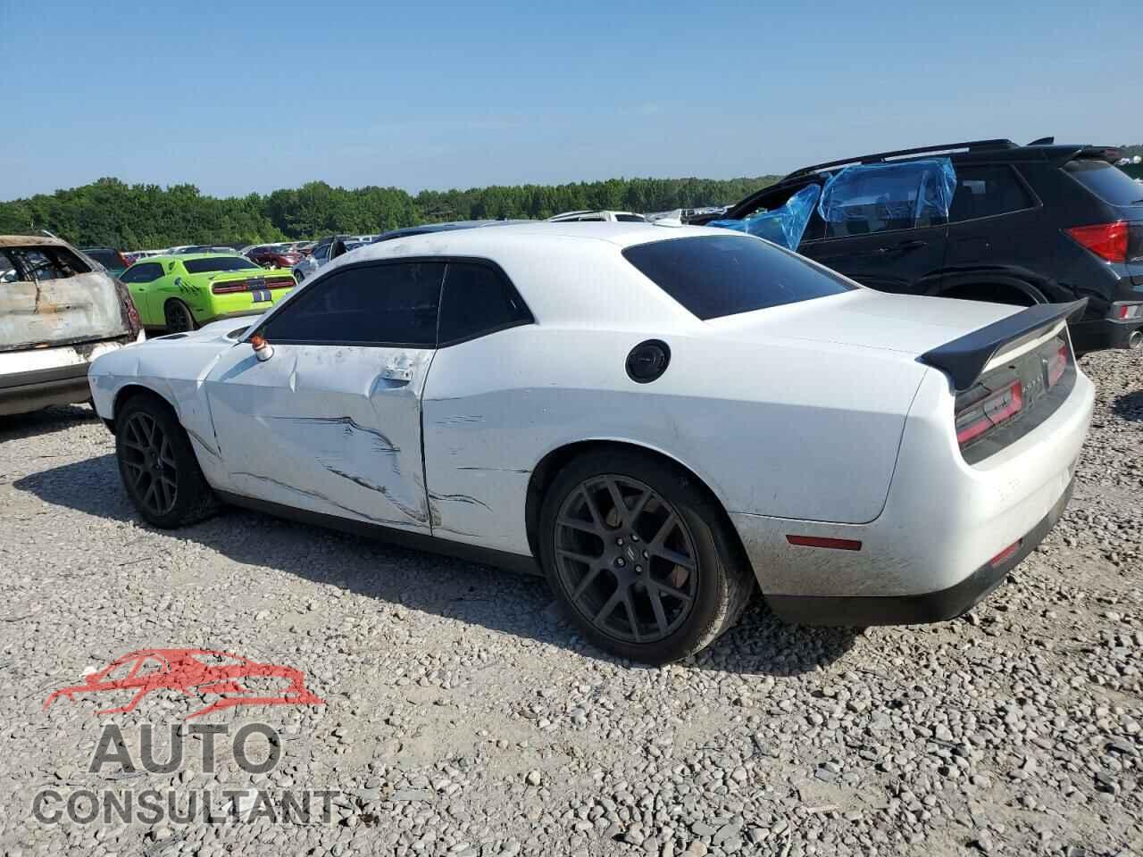 DODGE CHALLENGER 2019 - 2C3CDZFJ1KH741539