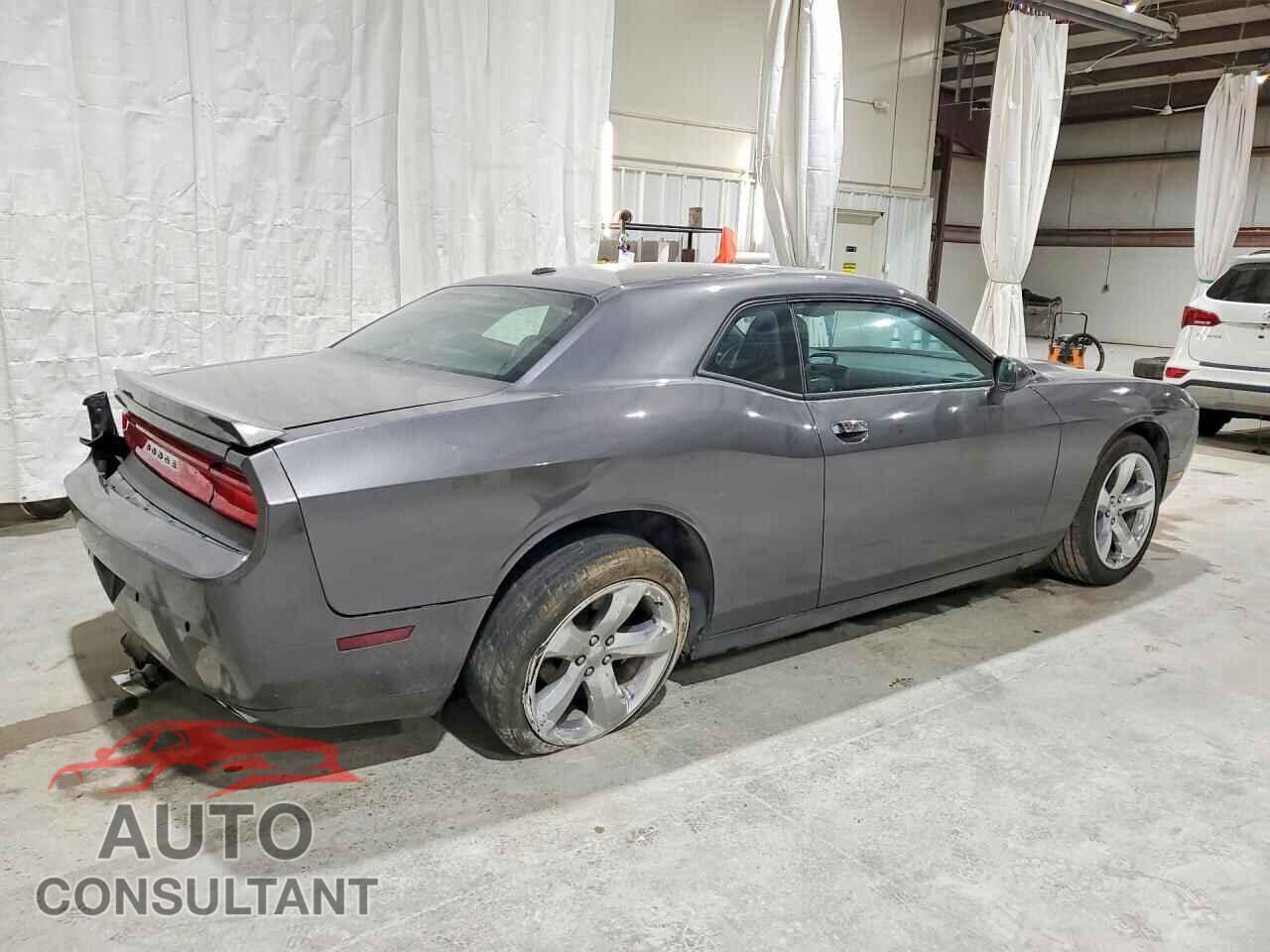 DODGE CHALLENGER 2014 - 2C3CDYAG6EH154117