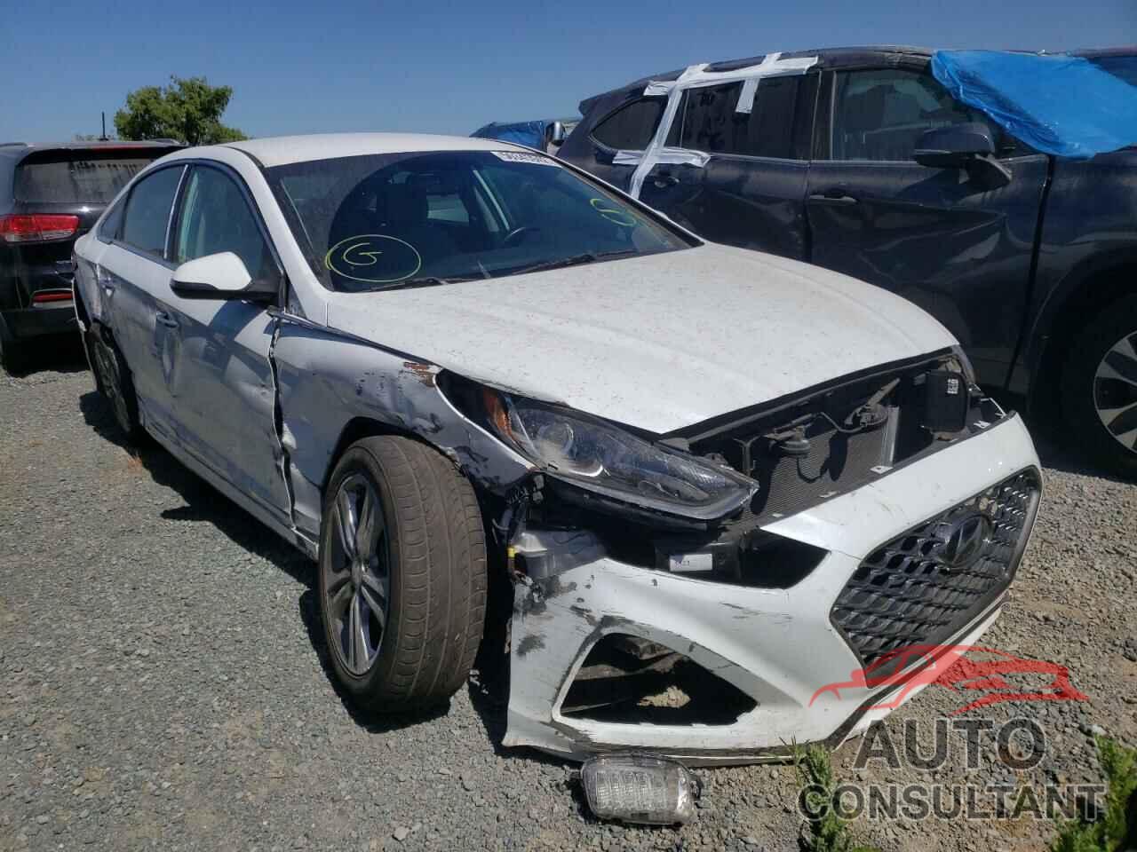 HYUNDAI SONATA 2019 - 5NPE34AF1KH768826