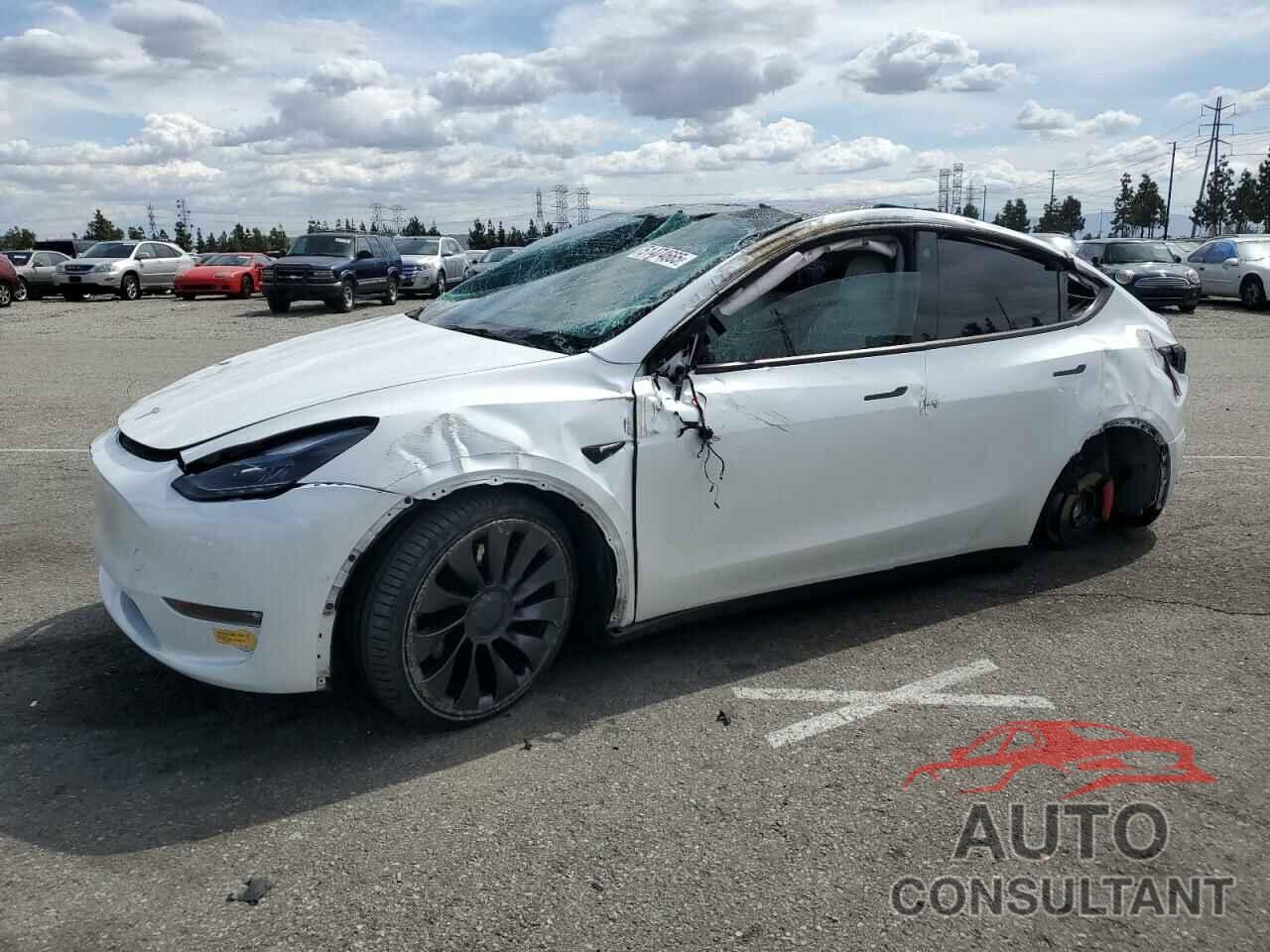 TESLA MODEL Y 2022 - 7SAYGDEF5NF381195