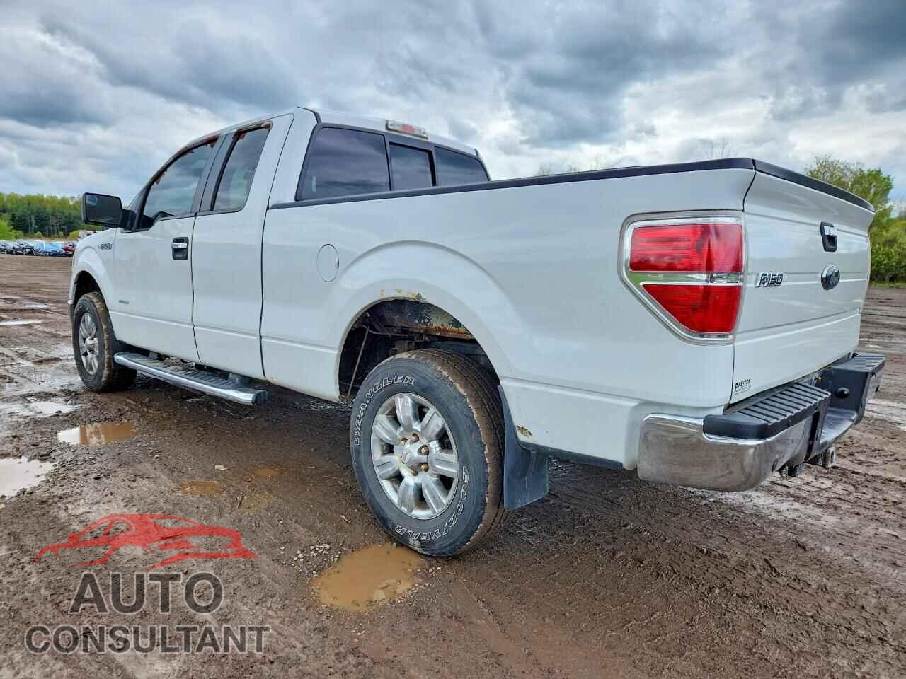 FORD F150 2012 - 1FTFX1ET1CFA55203