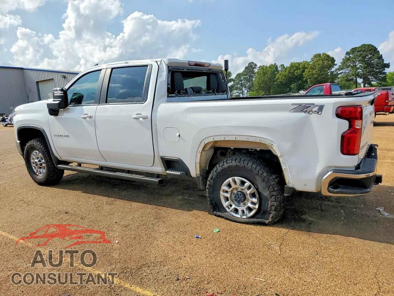 CHEVROLET SILVERADO 2023 - 1GC1YNE70PF146311