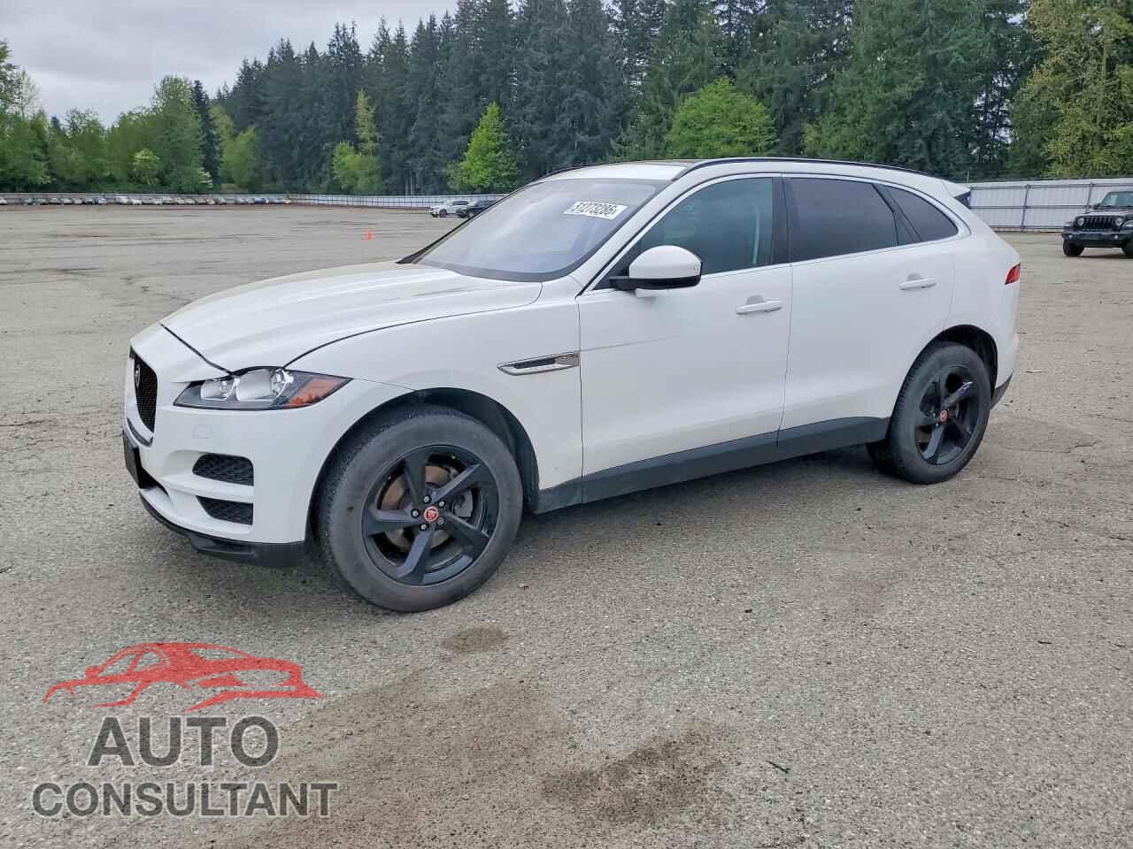 JAGUAR F-PACE 2019 - SADCJ2FX1KA396869