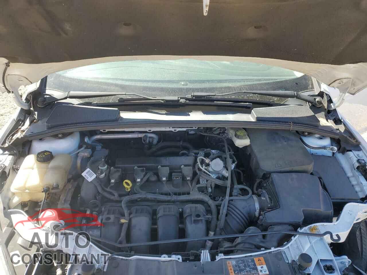 FORD FOCUS 2017 - 1FADP3F24HL208356