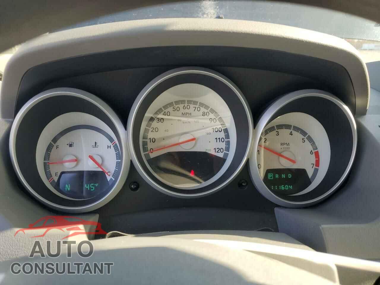 DODGE CARAVAN 2009 - 1D8HN44E09B512488