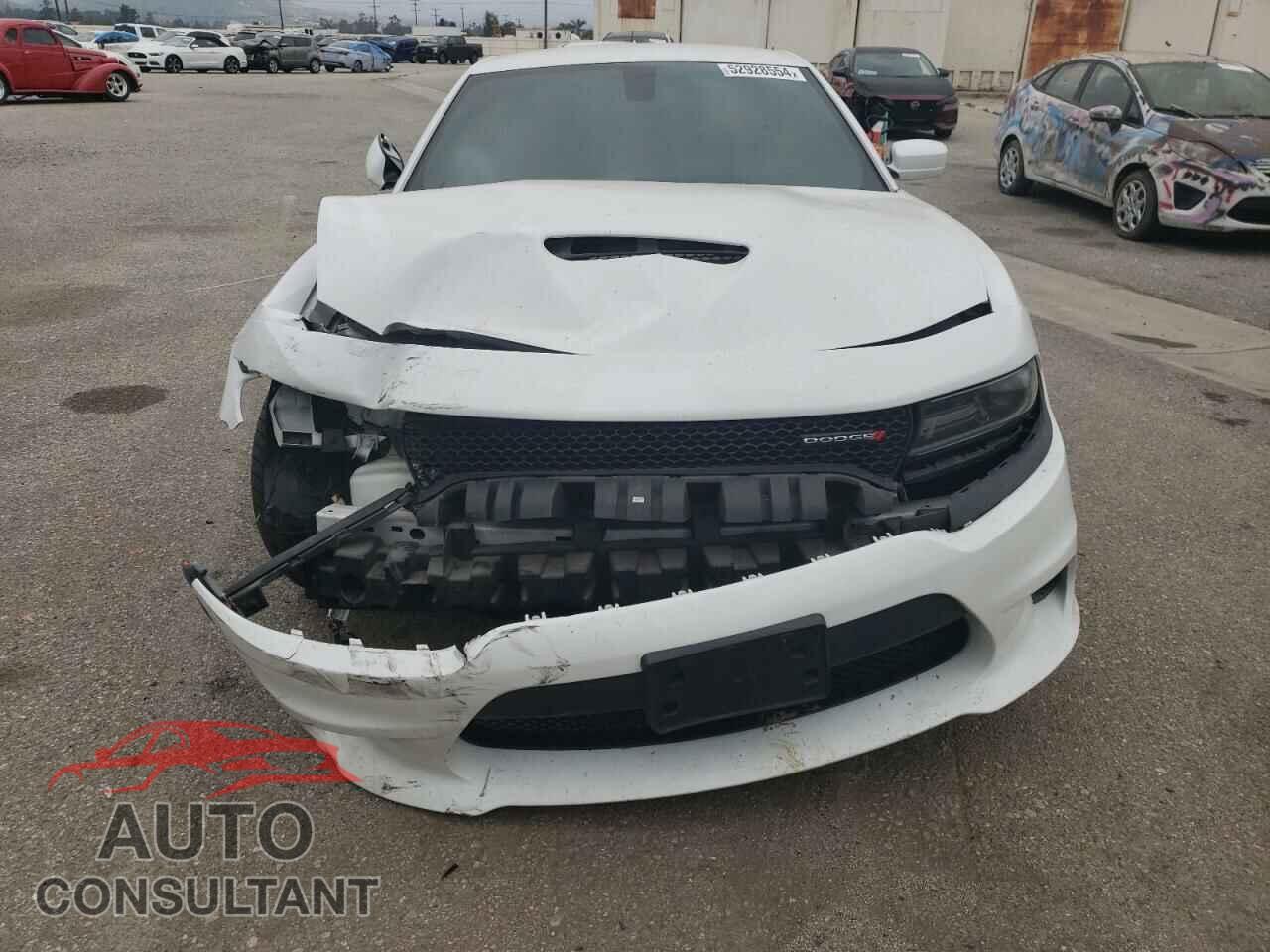 DODGE CHARGER 2019 - 2C3CDXCT9KH625757