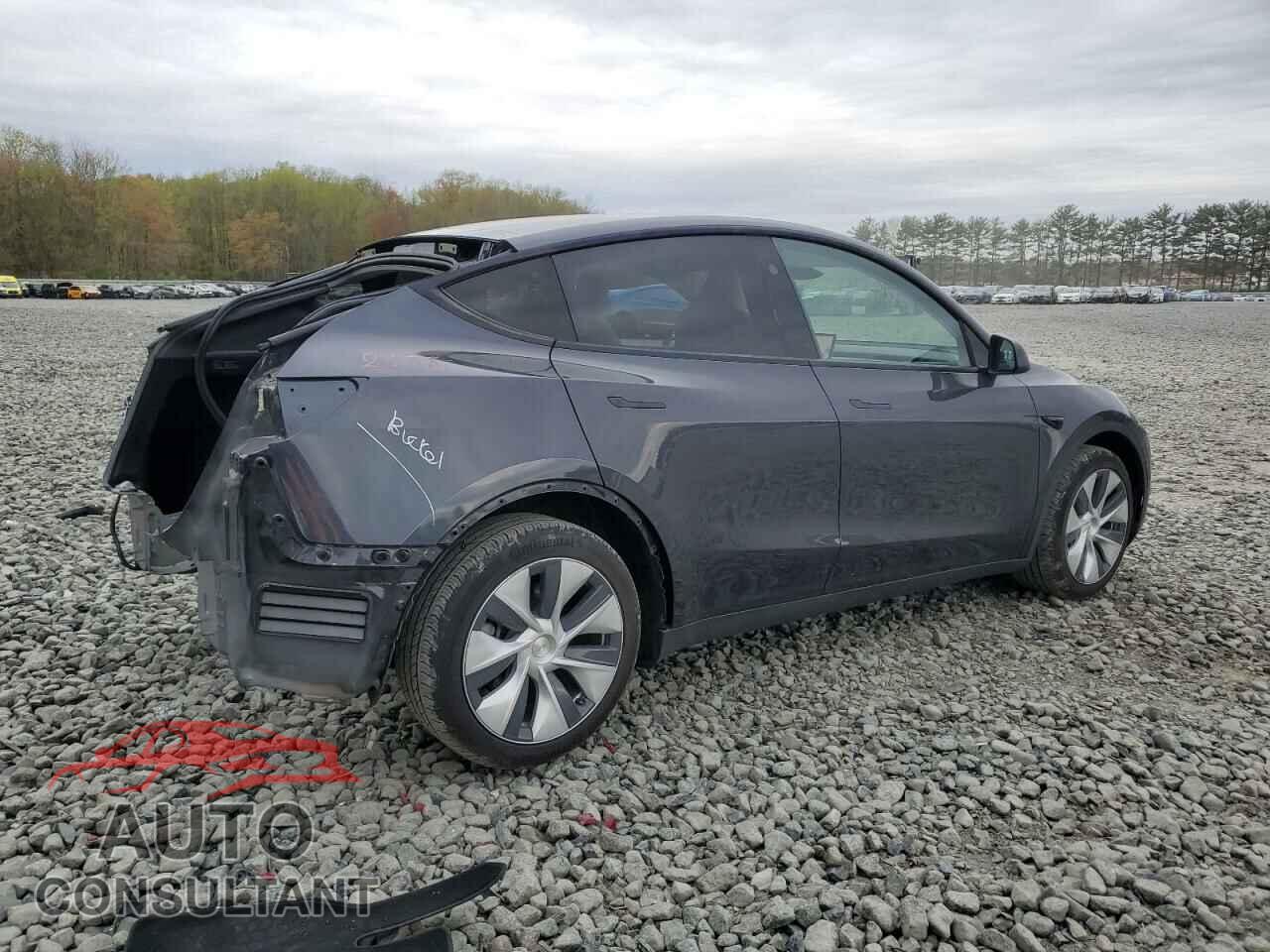 TESLA MODEL Y 2024 - 7SAYGDED5RF009554