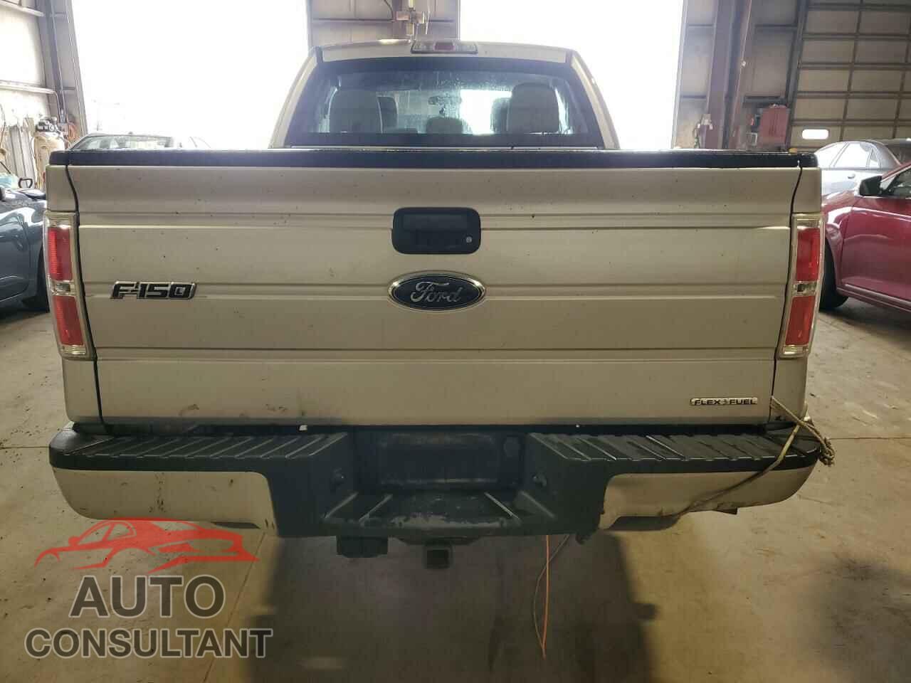 FORD F-150 2013 - 1FTFX1EFXDFD78239